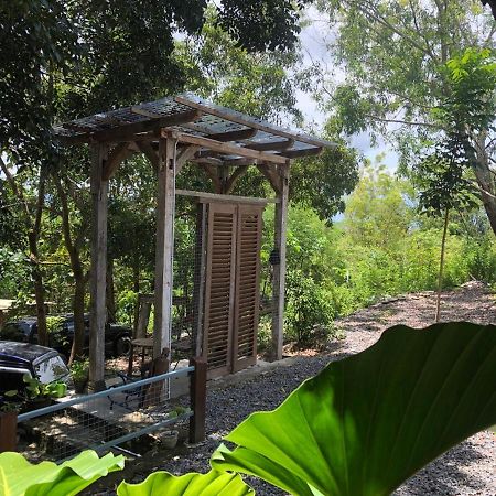 Omah Cantrik, Ethnic Java House With Nature View Jarakan Eksteriør bilde