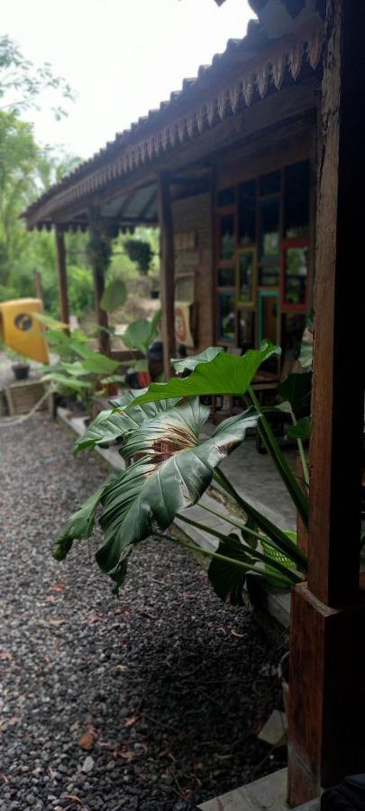 Omah Cantrik, Ethnic Java House With Nature View Jarakan Eksteriør bilde